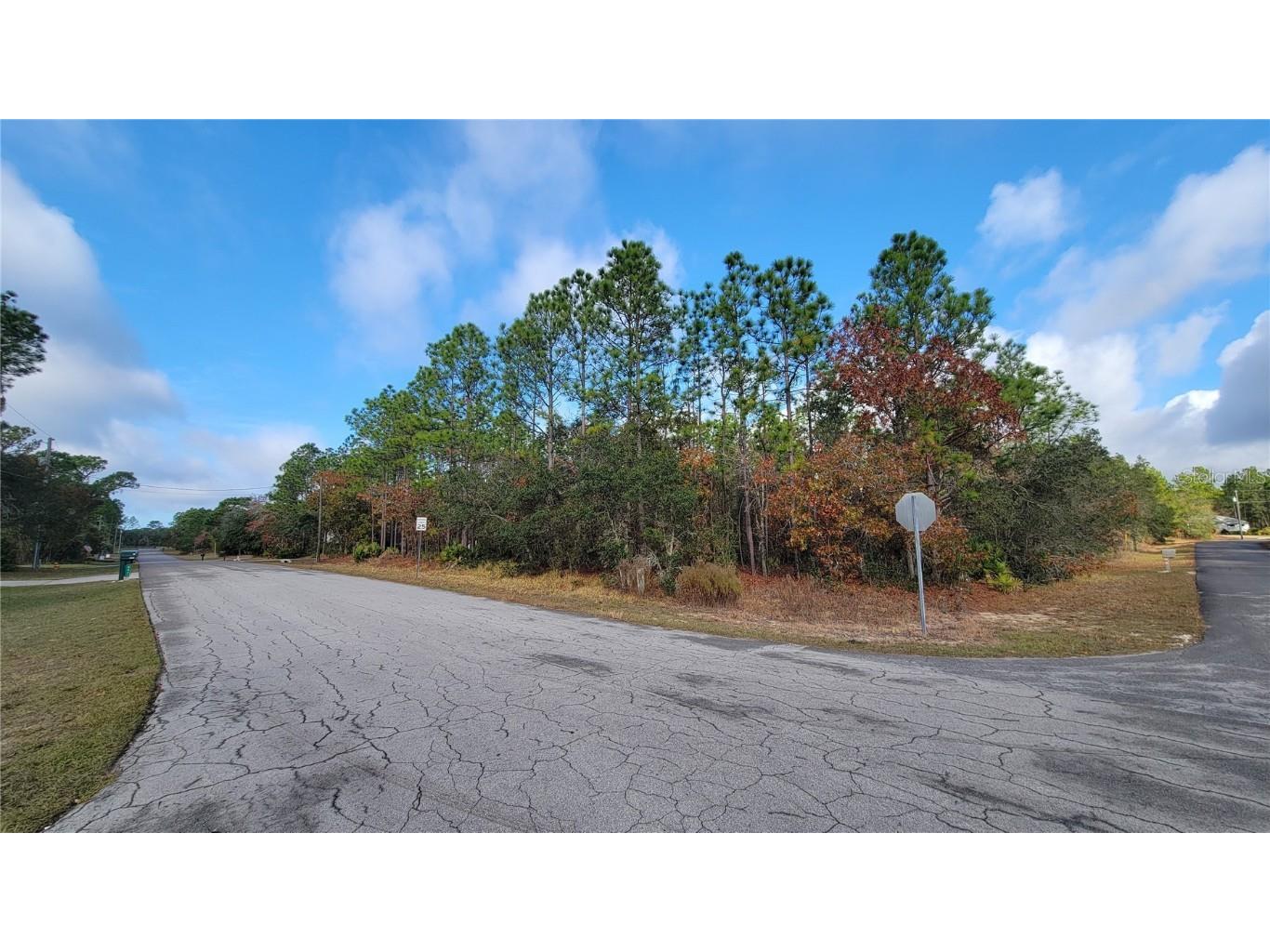 4312 N Deckwood Drive Beverly Hills FL 34465 OM715391 image7