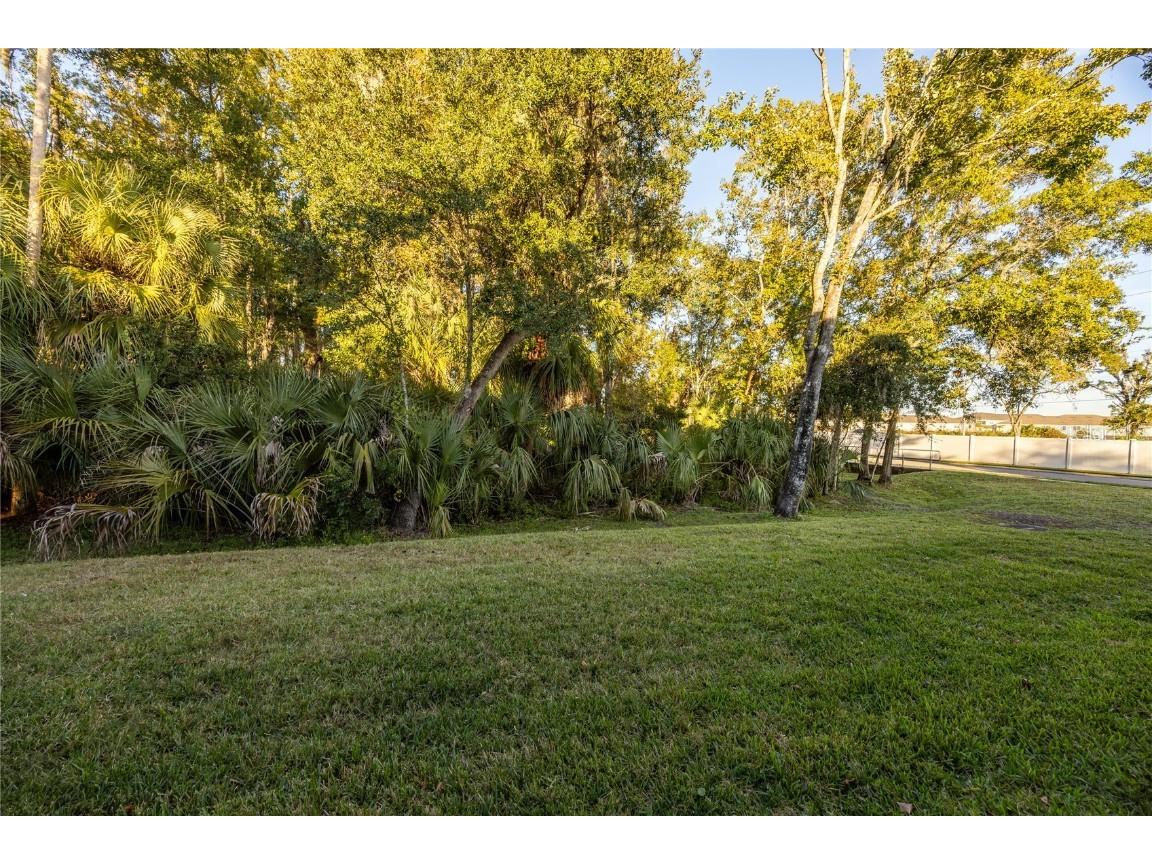 4312 Silver Falls Dr Land O Lakes FL 34639 TB8446492 image25