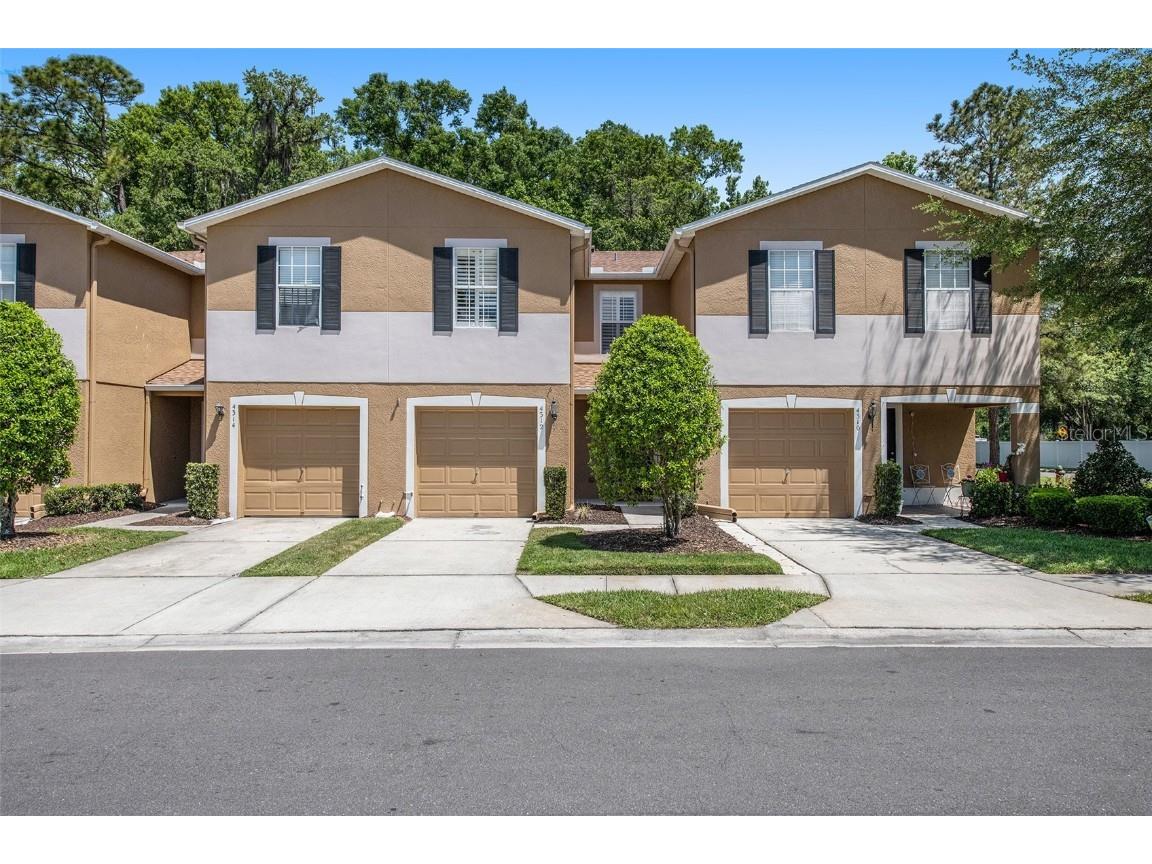 4312 Silver Falls Drive Land O Lakes FL 34639 T3460331 image1