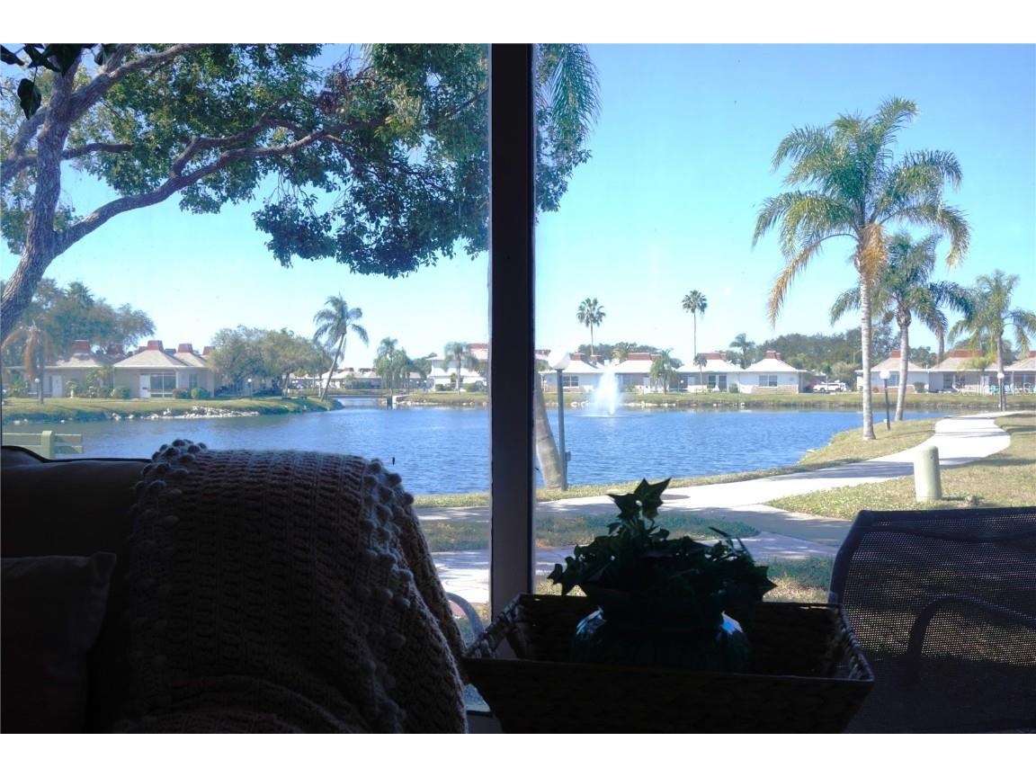 4312 Tahitian Gardens Cir #E Holiday FL 34691 TB8448646 image10