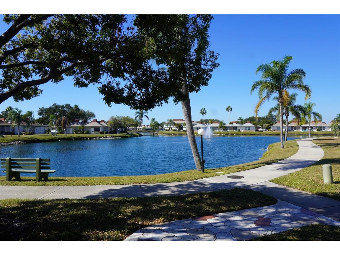 4312 Tahitian Gardens Cir #E Holiday FL 34691 TB8448646 image24