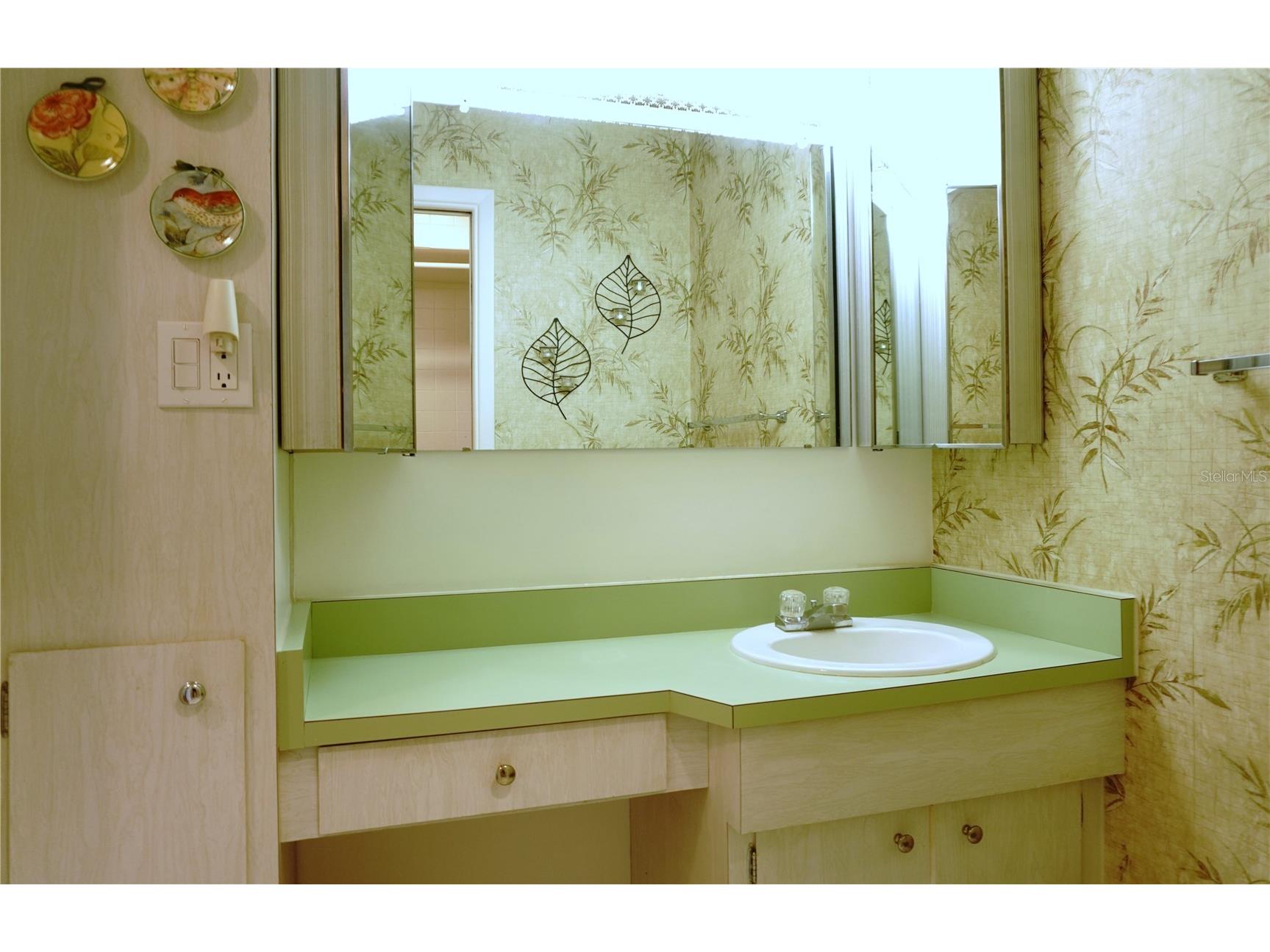 4312 Tahitian Gardens Circle #A Holiday FL 34691 TB8492124 image16