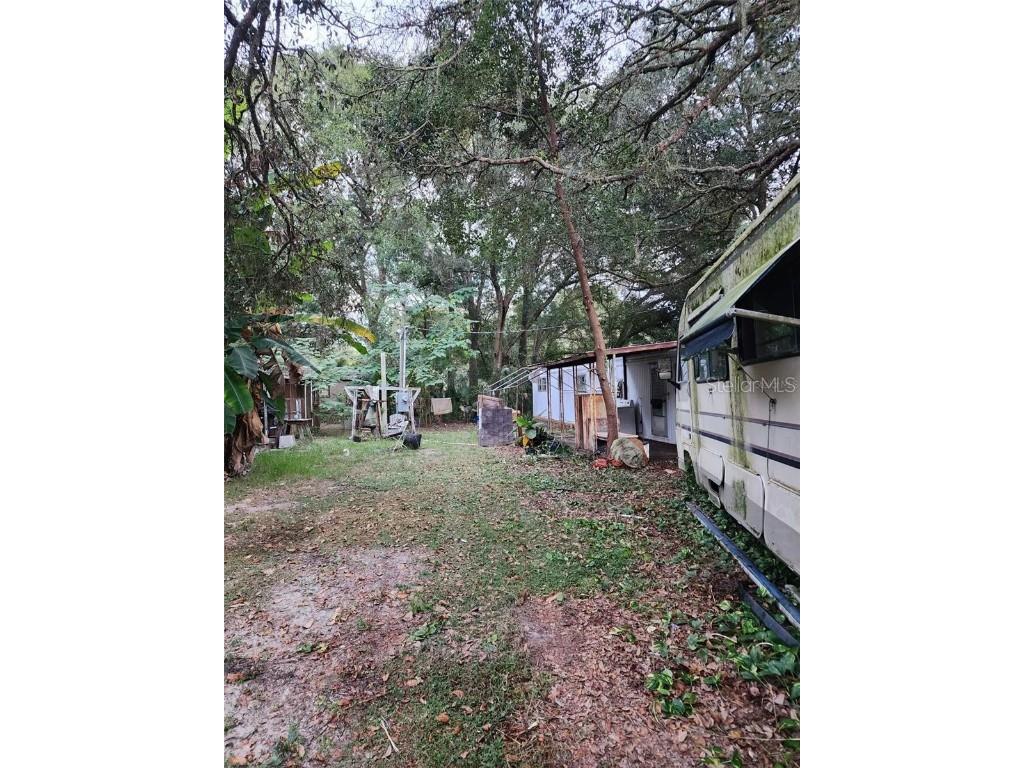 43126 W 4th Street Paisley FL 32767 S5140386 image5