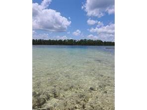 43126 W 4th Street Paisley FL 32767 S5140386 image6