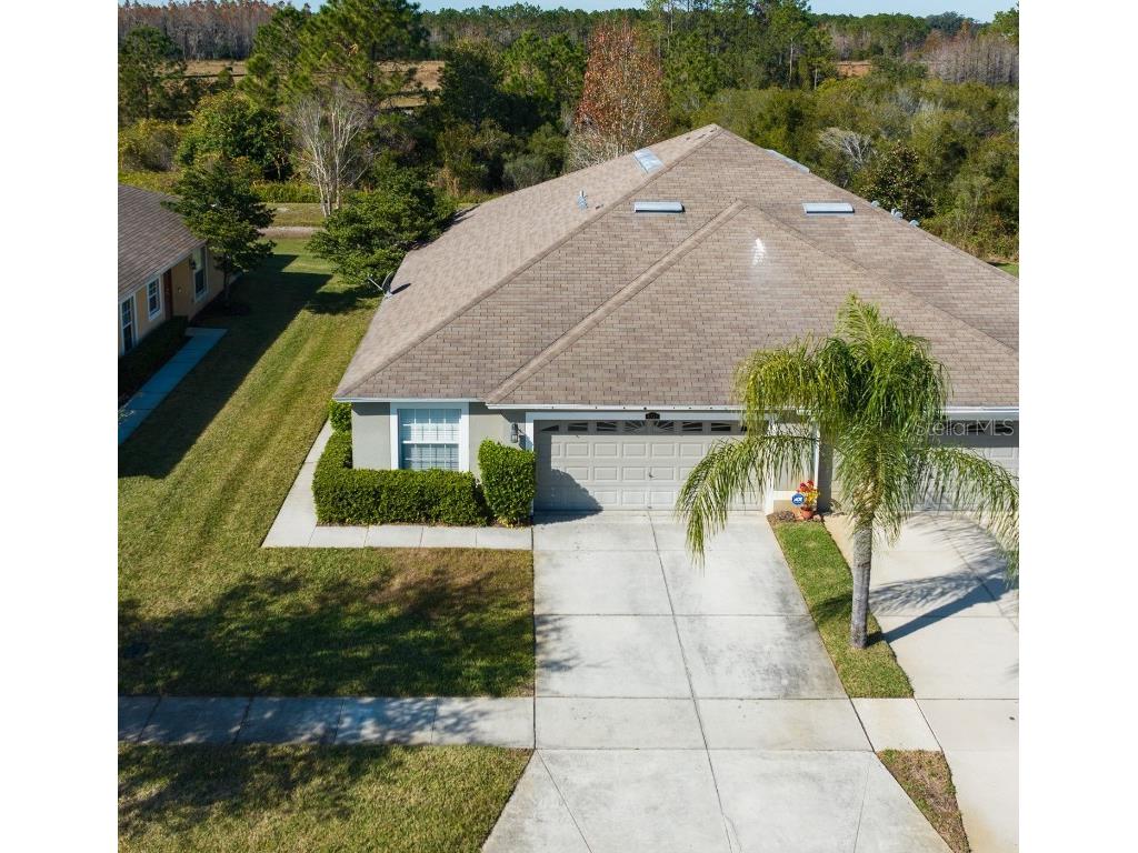 4313 Ashton Meadows Way Wesley Chapel FL 33543 T3494154 image1
