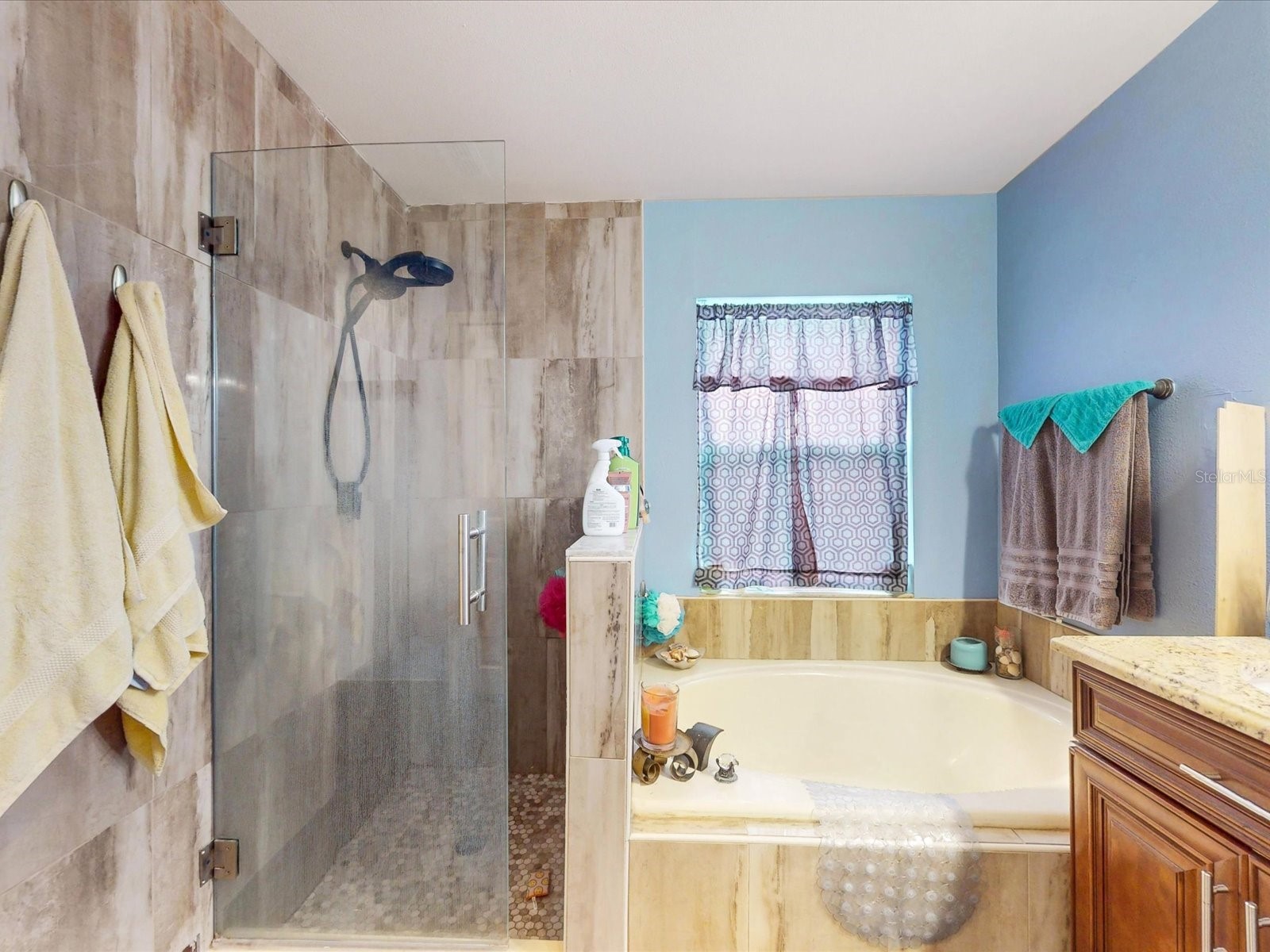 4313 Bay Brook Drive Kissimmee FL 34746 S5147506 image22