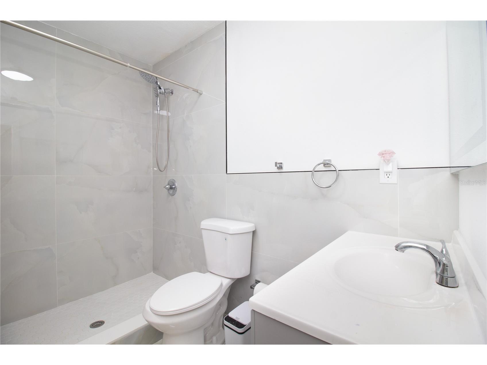 4313 Hollow Hill Drive Tampa FL 33624 TB8507375 image26