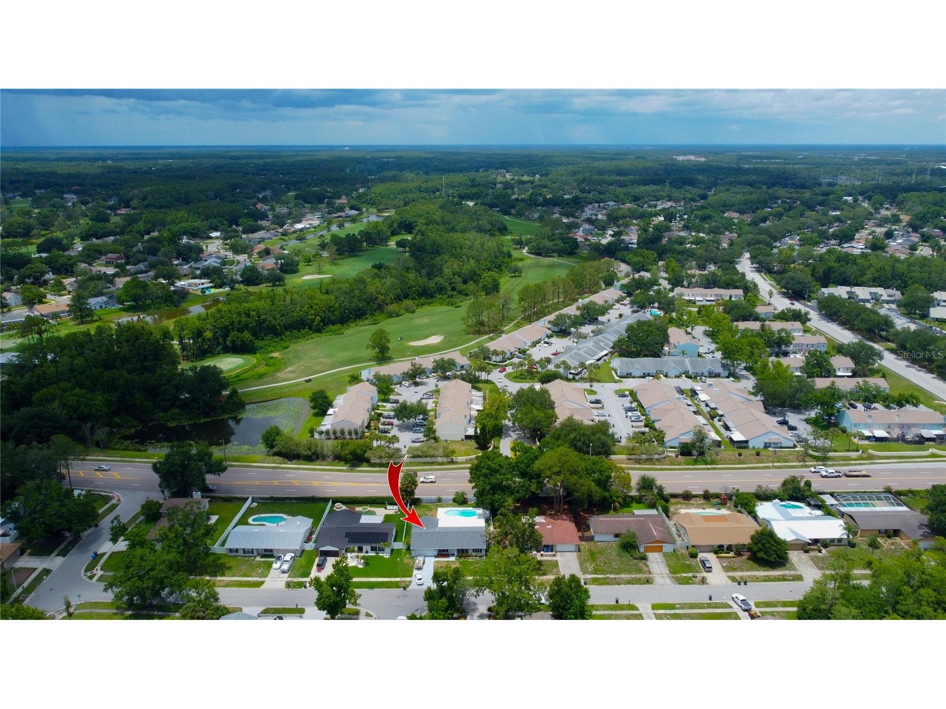 4313 Hollow Hill Drive Tampa FL 33624 TB8507375 image40