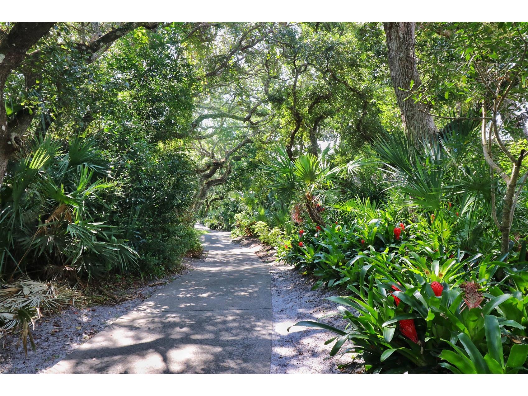 4313 Sea Mist Drive #260 New Smyrna Beach FL 32169 NS1088287 image39