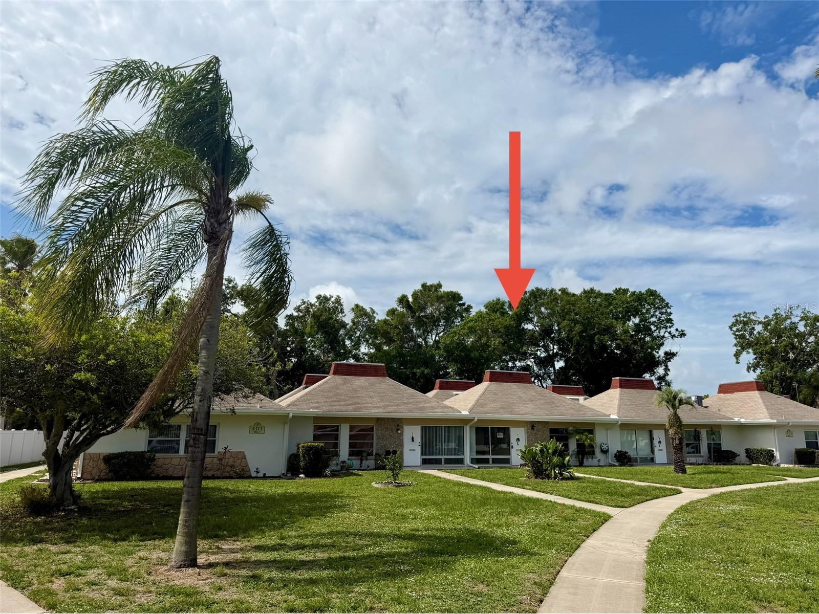 4313 Tahitian Gardens Circle #C Holiday FL 34691 TB8515405 image23
