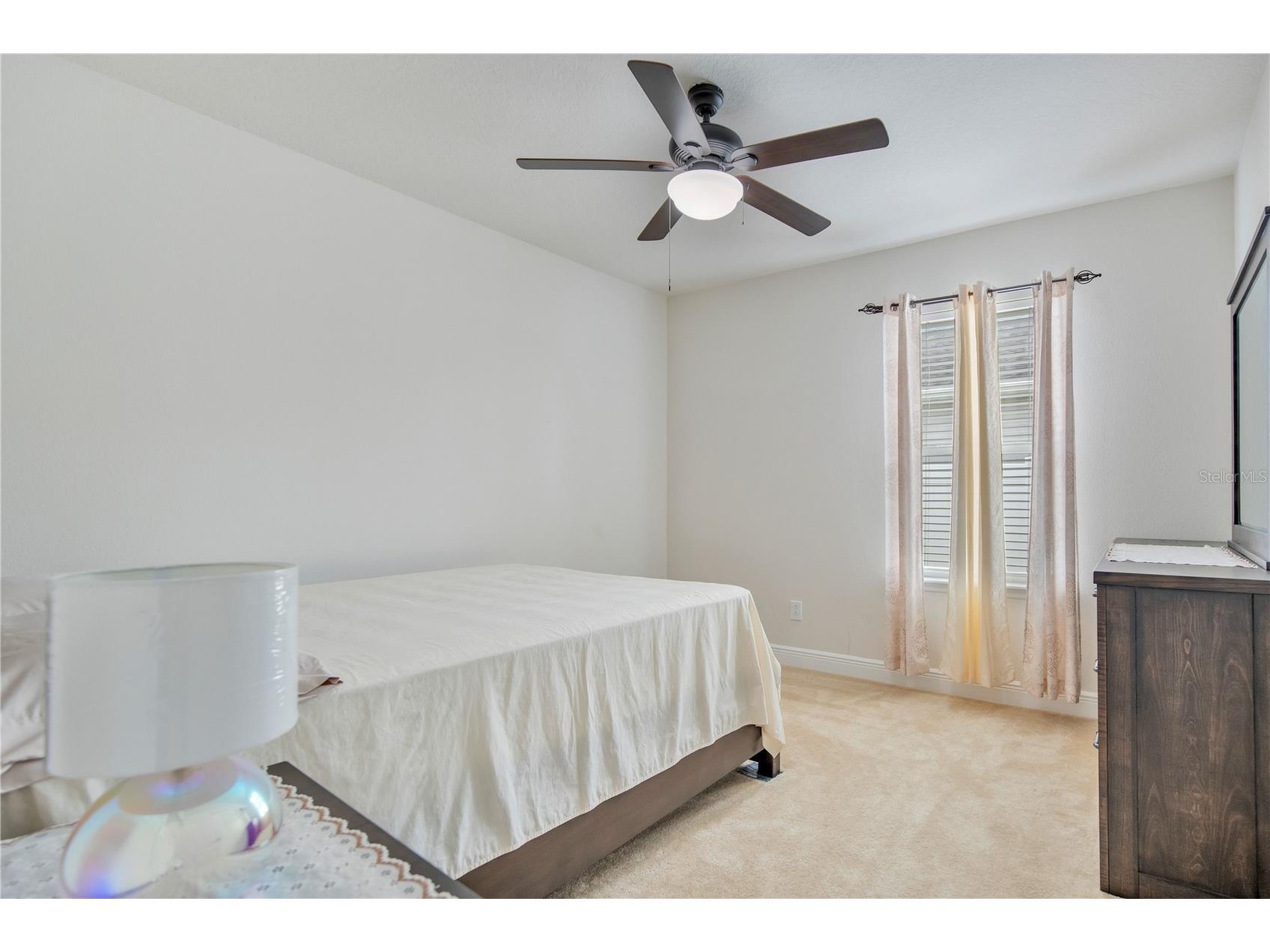 4313 Tigris Drive Apopka FL 32712 O6415930 image22