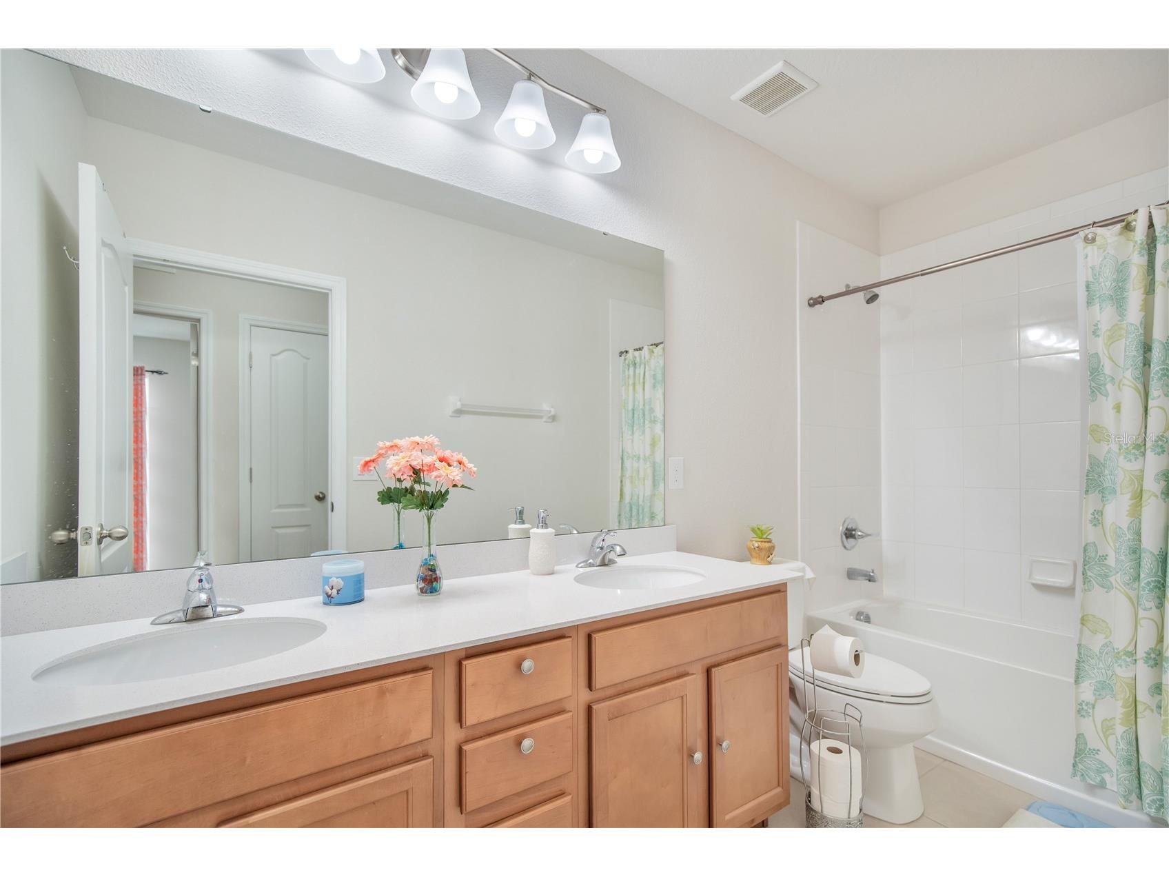 4313 Tigris Drive Apopka FL 32712 O6415930 image23