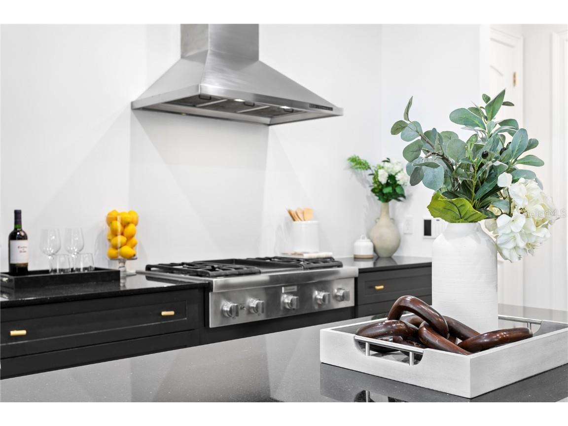 4313 W Vasconia Street Tampa FL 33629 TB8454631 image23