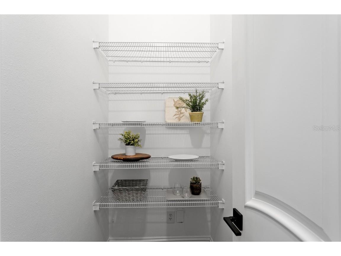 4313 W Vasconia Street Tampa FL 33629 TB8454631 image28