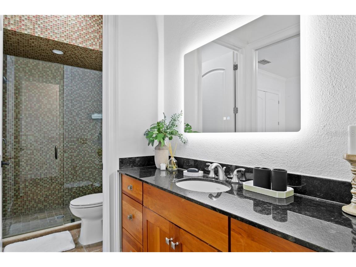 4313 W Vasconia Street Tampa FL 33629 TB8454631 image29