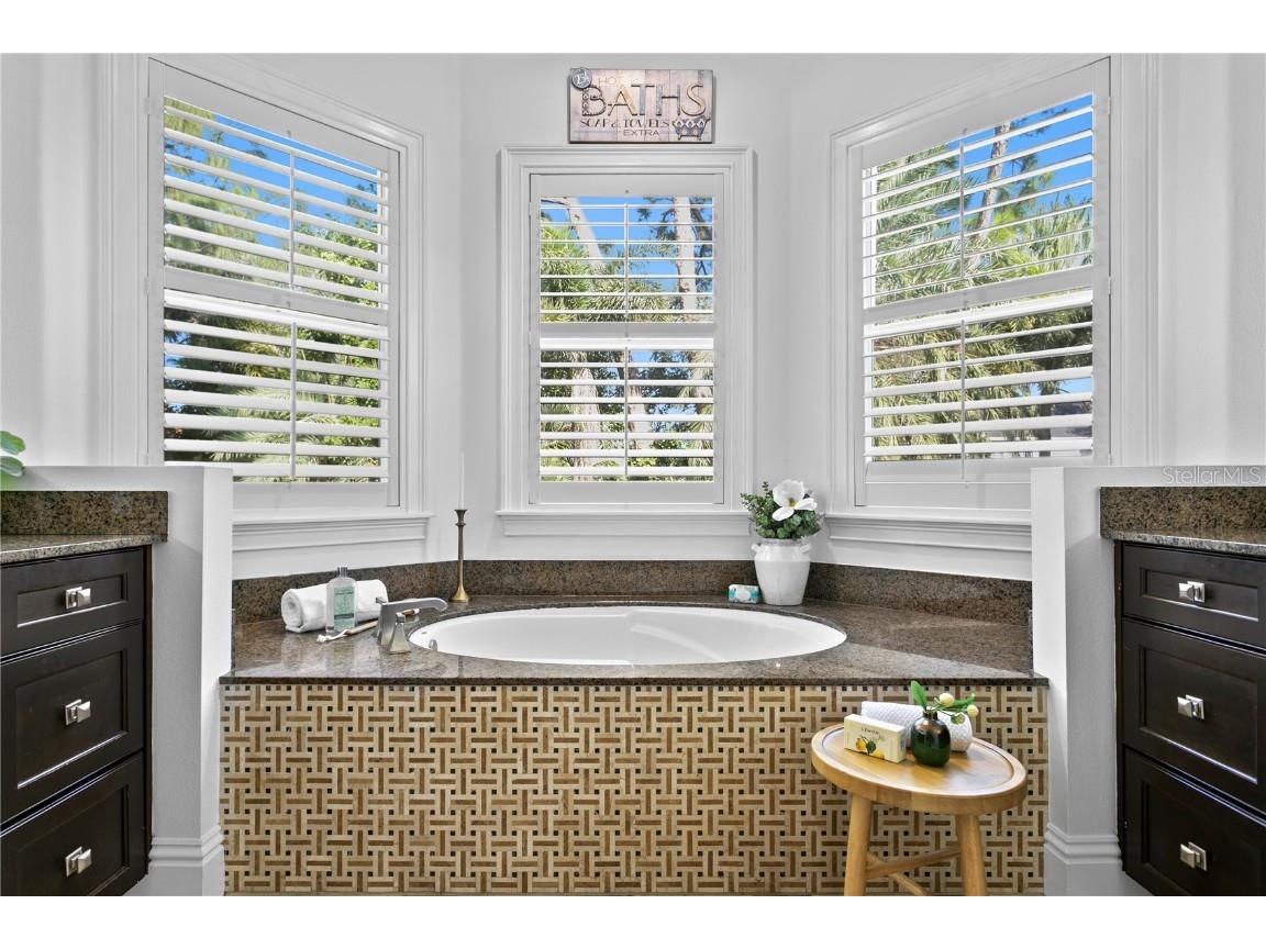 4313 W Vasconia Street Tampa FL 33629 TB8454631 image45