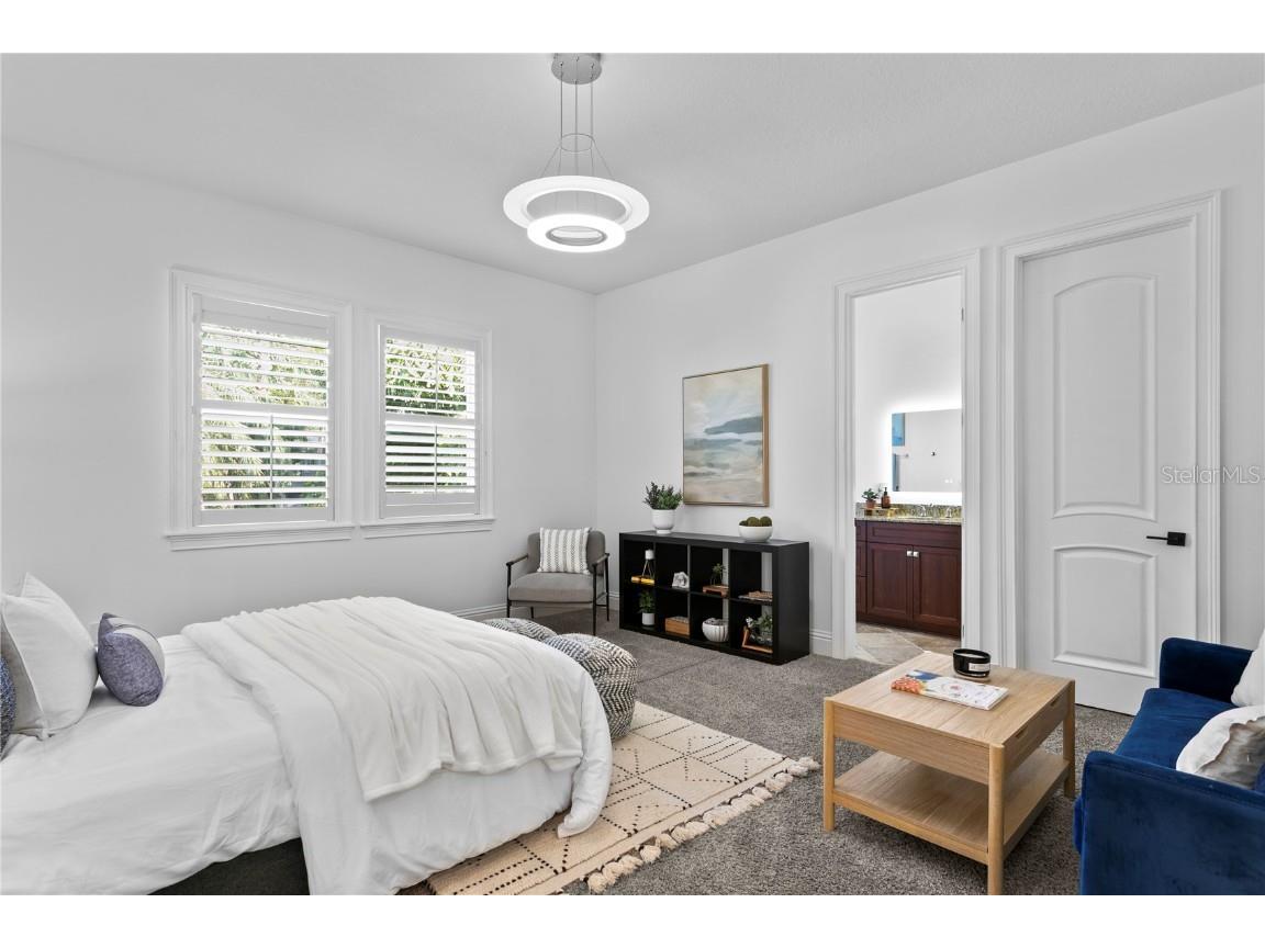 4313 W Vasconia Street Tampa FL 33629 TB8454631 image48