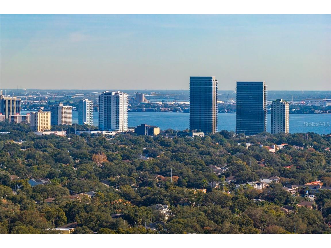 4313 W Vasconia Street Tampa FL 33629 TB8454631 image57