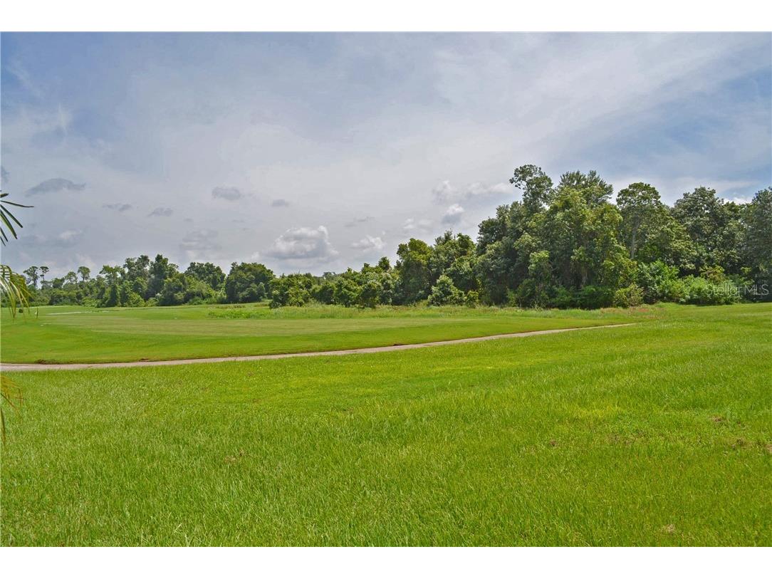 4314 Berwick Drive Lake Wales FL 33859 - LAKE ASHTON P4939186 image52