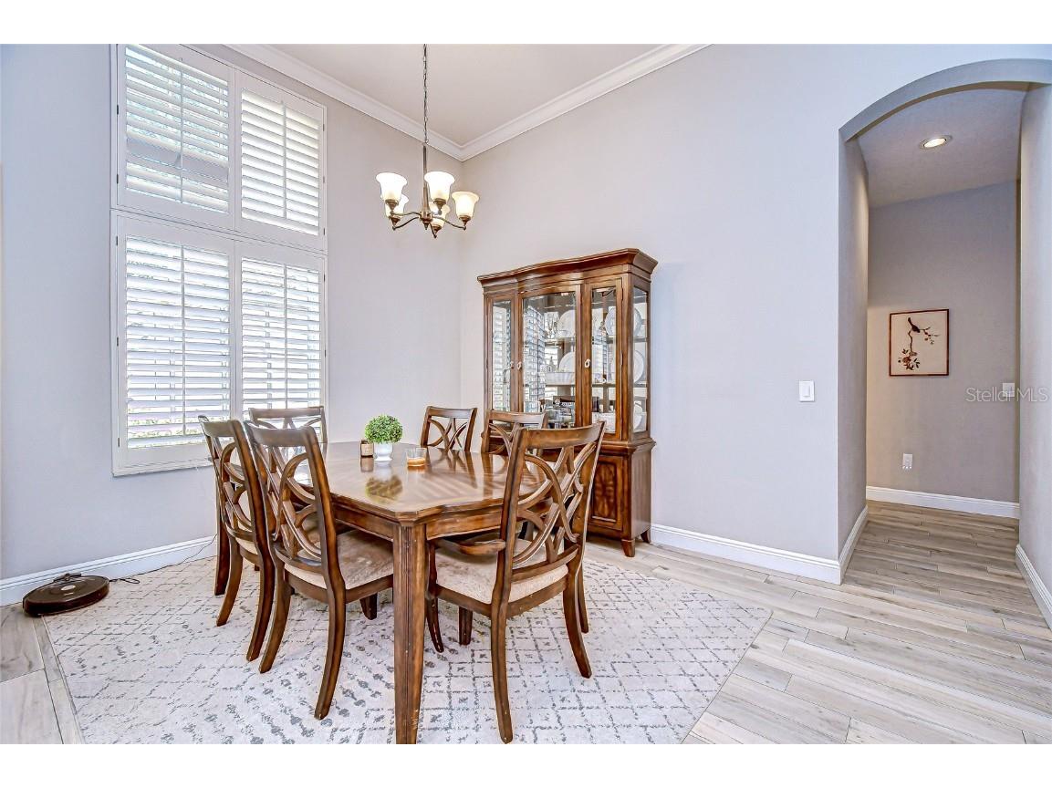 4314 Glendon Place Valrico FL 33596 TB8434010 image5