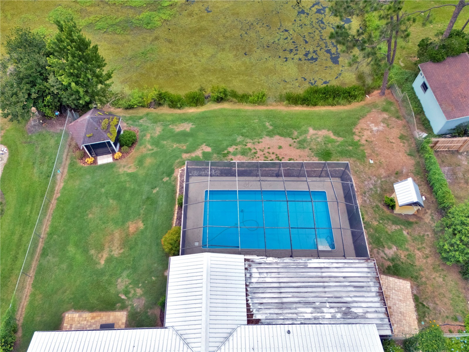 4314 Lark Drive Dover FL 33527 TB8529168 image46