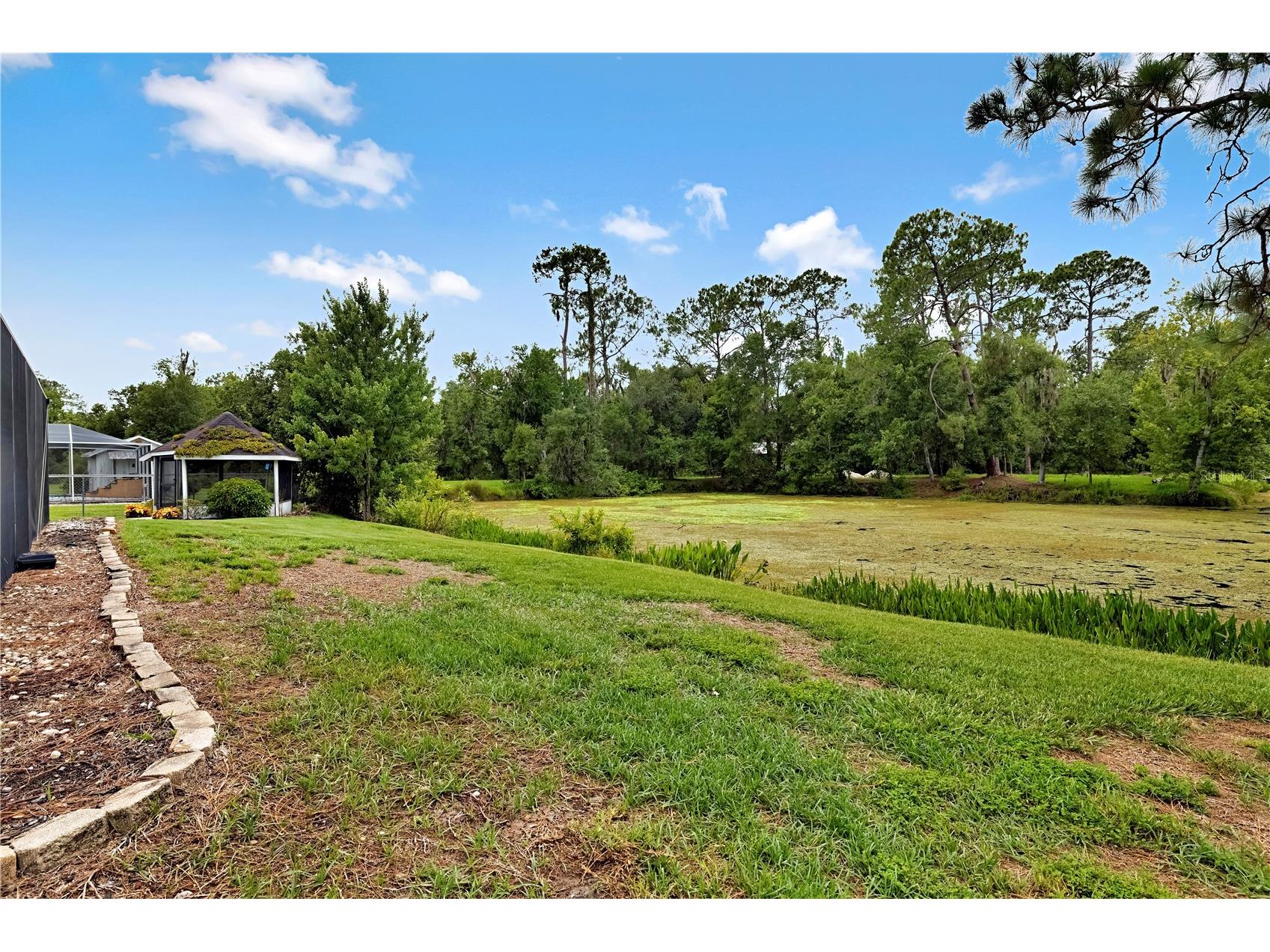 4314 Lark Drive Dover FL 33527 TB8529168 image50