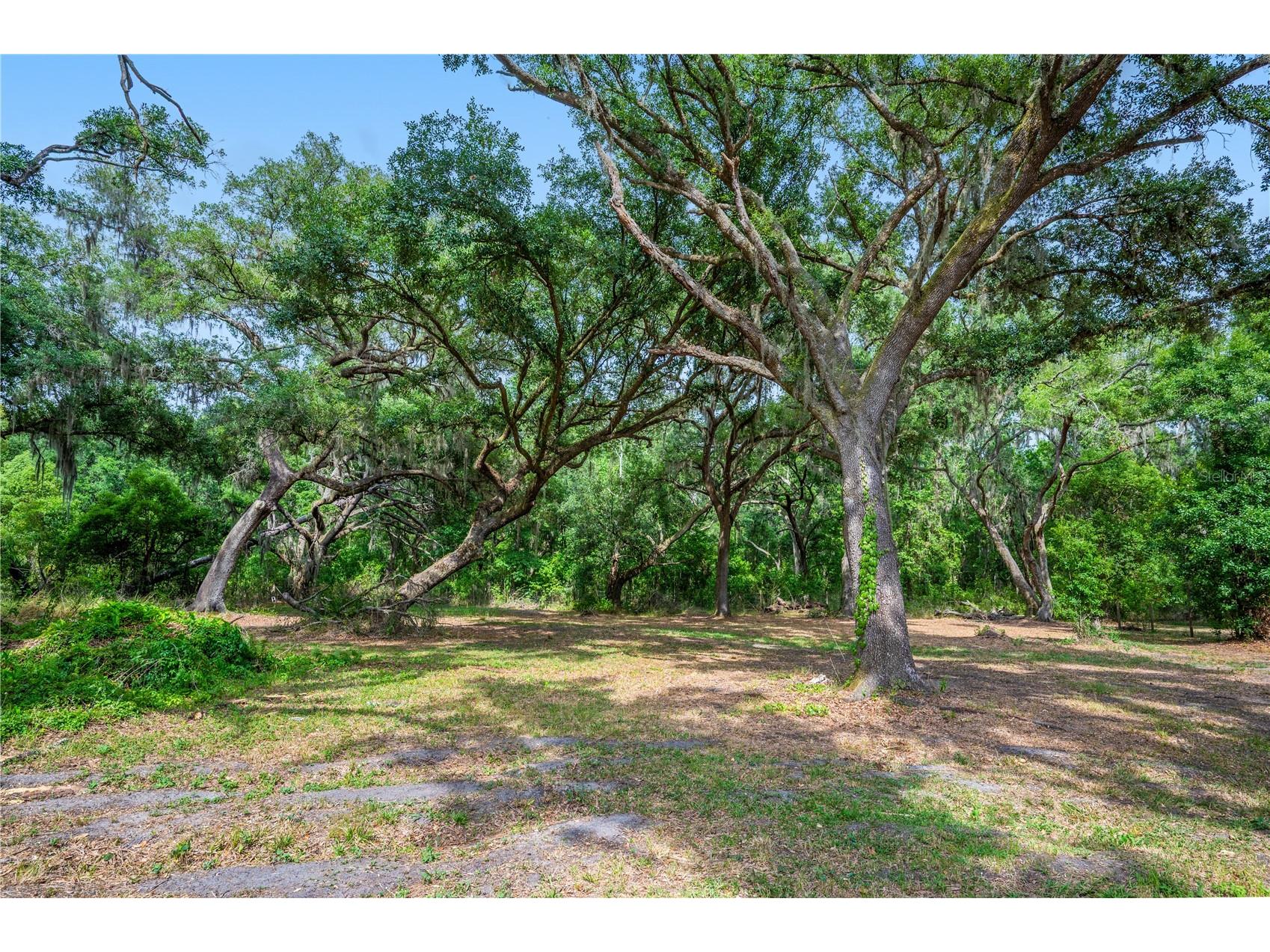 4314 Strauss Road Plant City FL 33565 TB8507982 image50