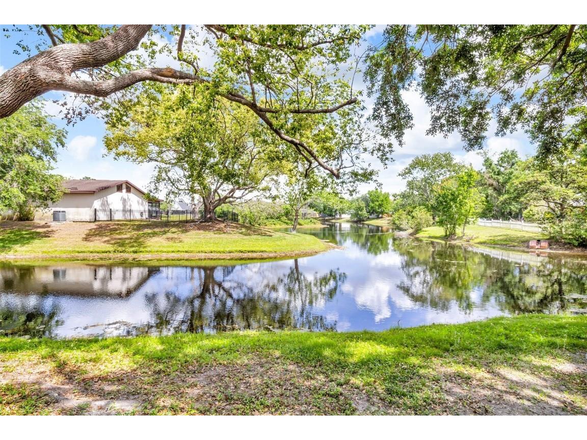 4314 Venice Drive Land O Lakes FL 34639 TB8370778 image1