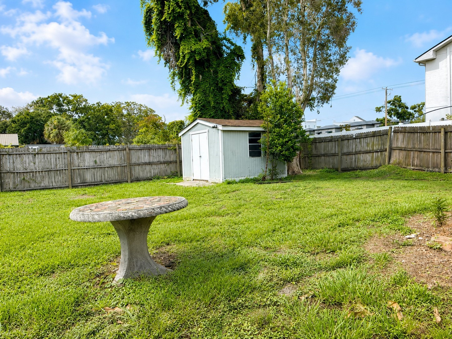 4314 W Carmen Street Tampa FL 33609 TB8524895 image14