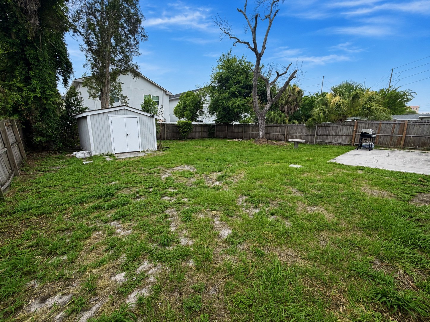4314 W Carmen Street Tampa FL 33609 TB8524895 image19