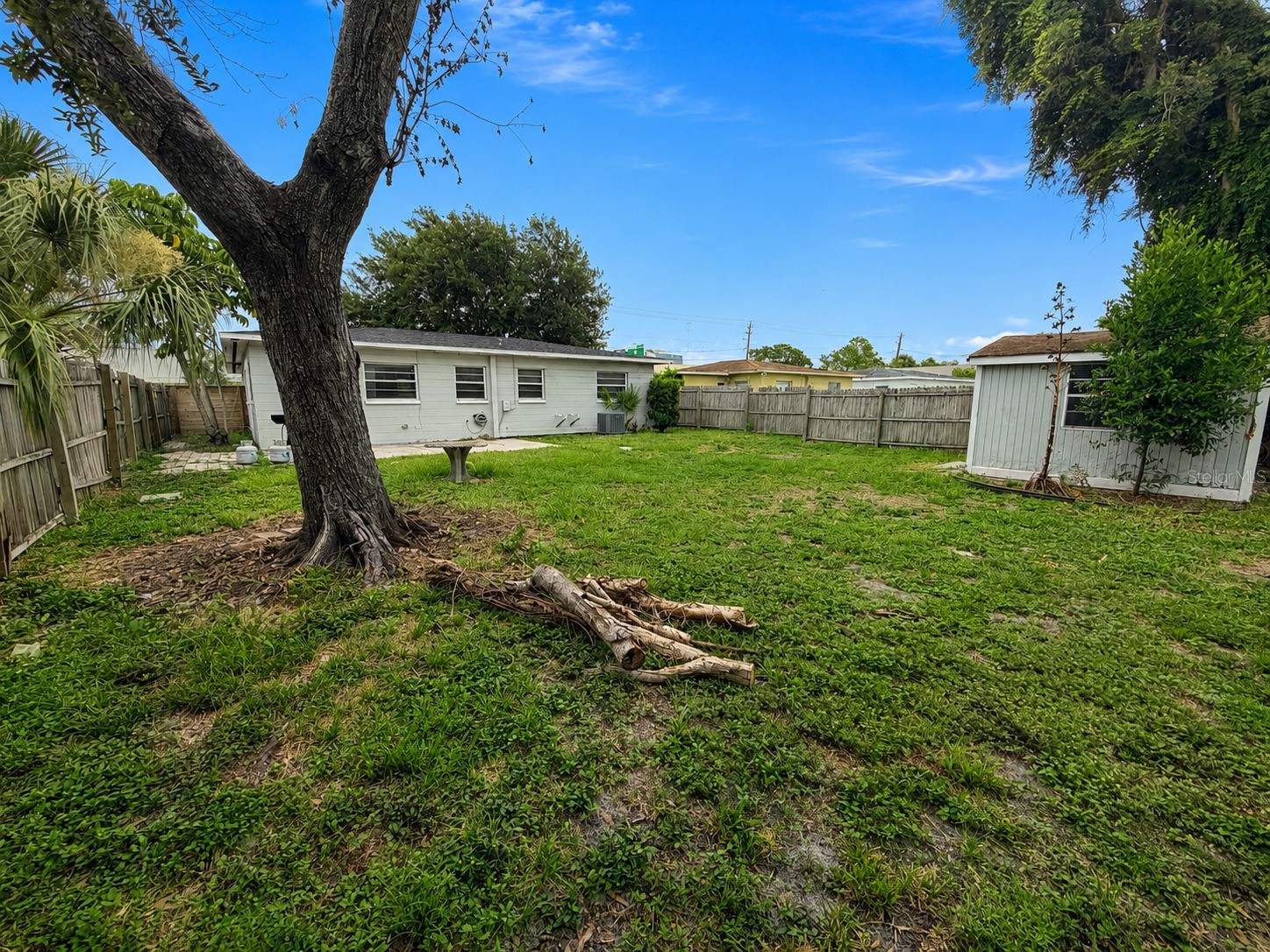 4314 W Carmen Street Tampa FL 33609 TB8524895 image21