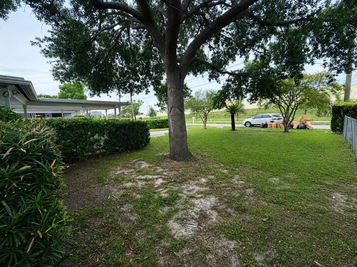 4314 W Carmen Street Tampa FL 33609 TB8524895 image3