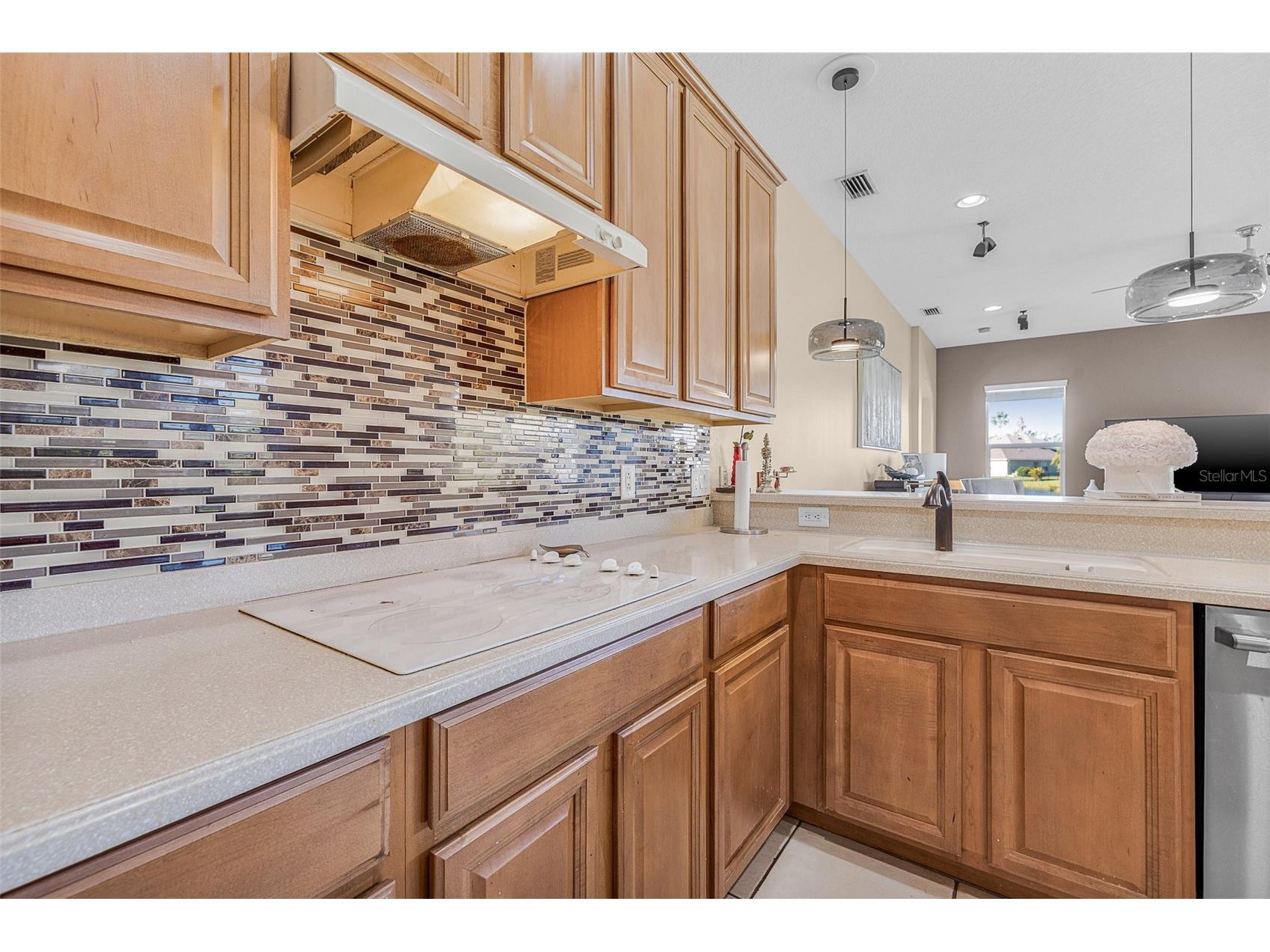4315 70th Avenue E Ellenton FL 34222 TB8472328 image29