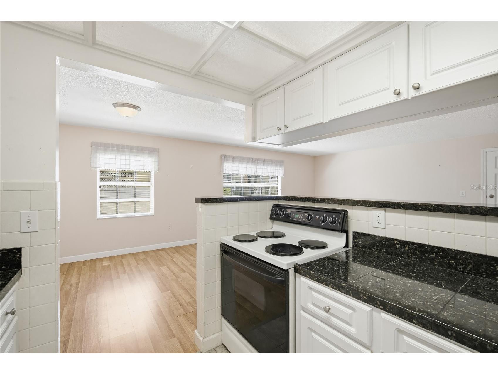 4315 Aegean Drive #102 C Tampa FL 33611 TB8508048 image11