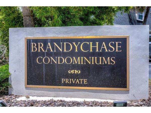 4315 Aegean Drive #122C Tampa FL 33611 T3471575 image1