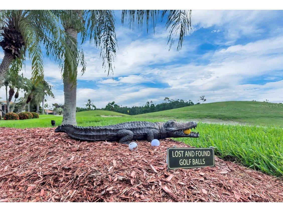 4315 Ashton Club Drive Lake Wales FL 33859 P4935963 image50