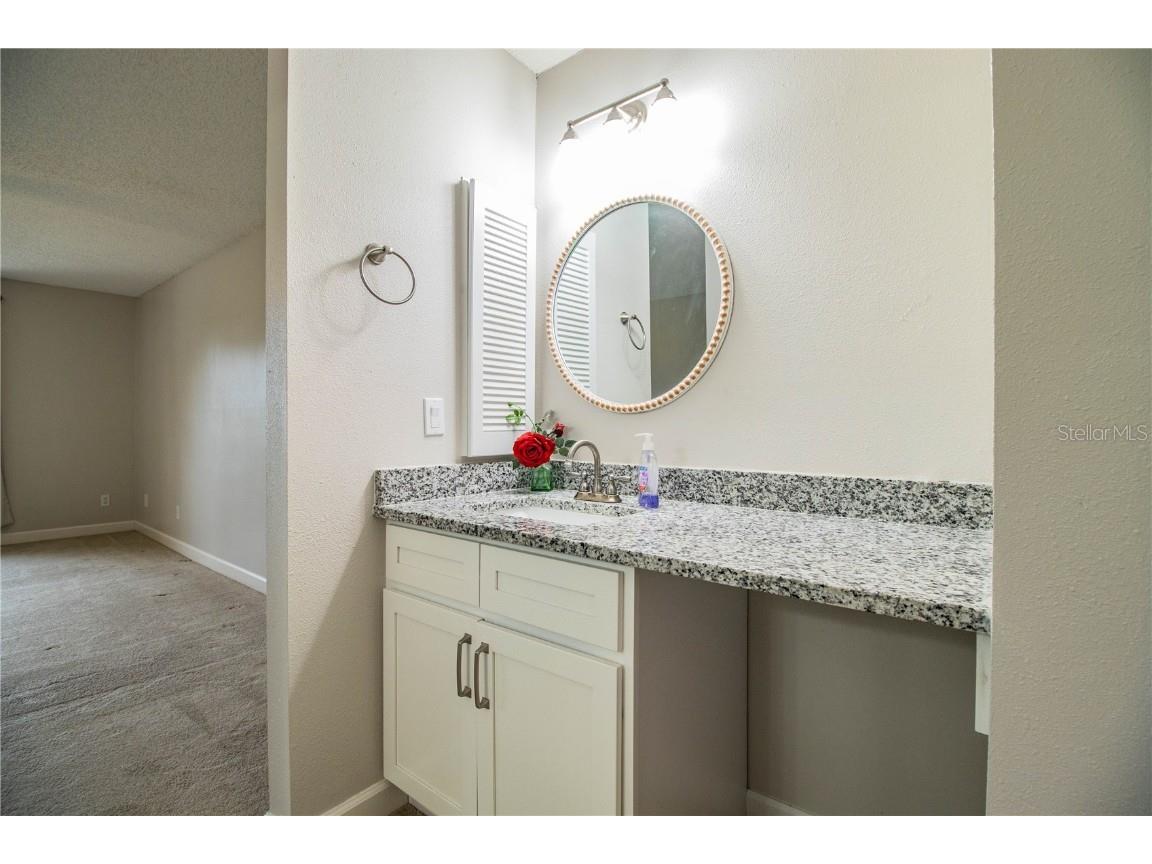 4315 Creekwood Lane Mulberry FL 33860 L4956996 image61