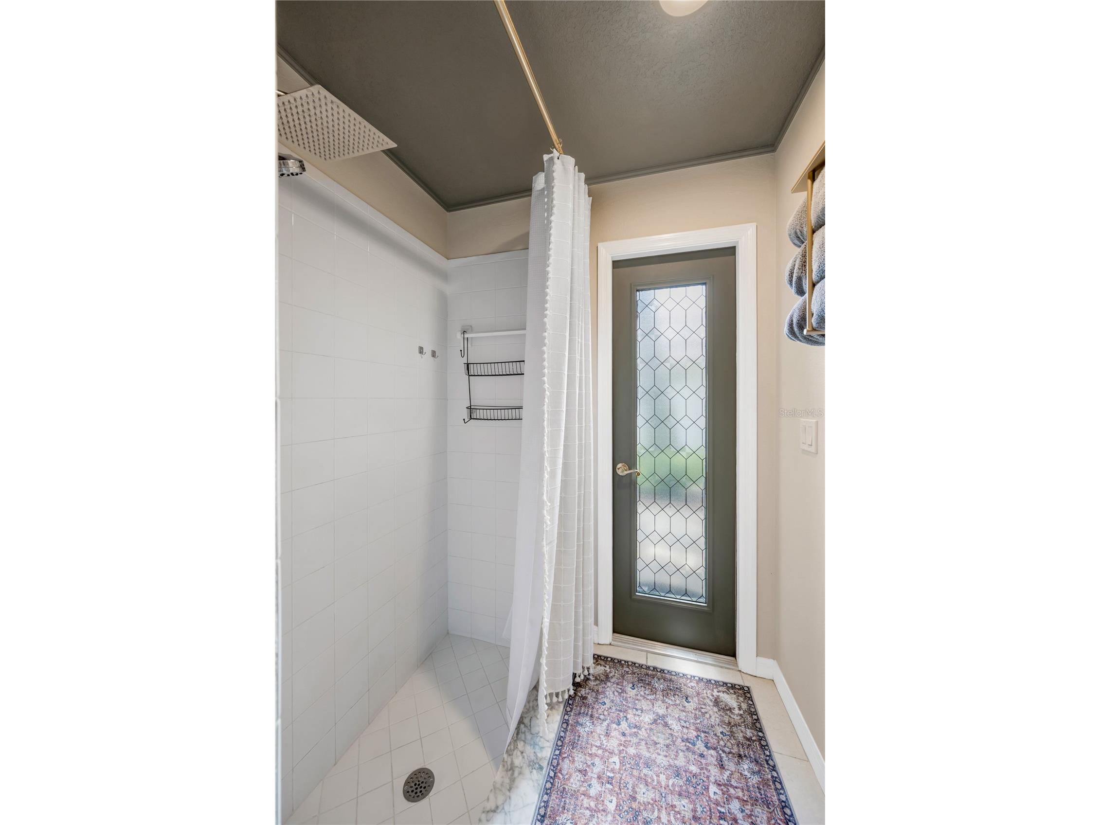 4315 Faircourt Drive Valrico FL 33596 TB8509880 image36