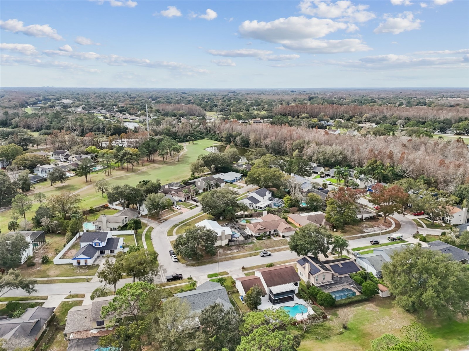 4315 Honey Vista Circle Tampa FL 33624 TB8465197 image38