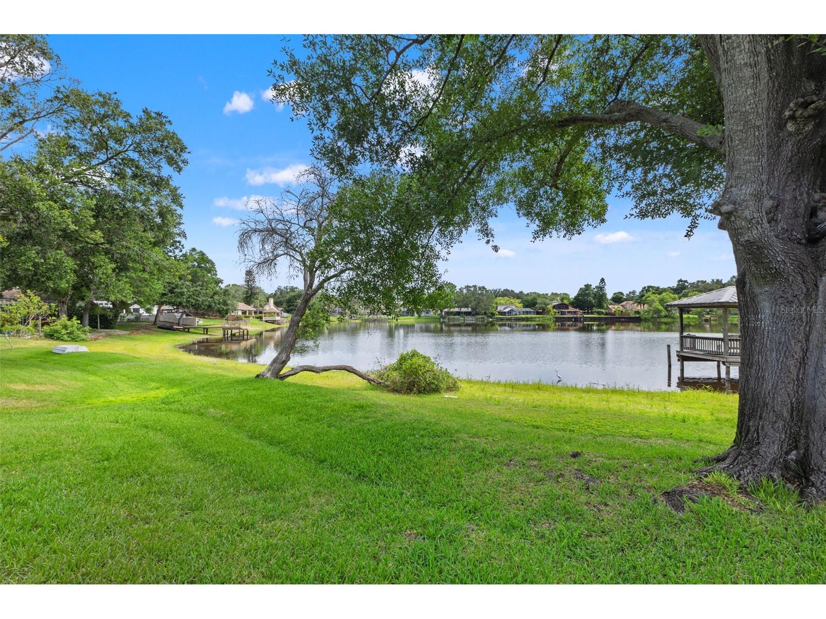 4315 Round Lake Court Tampa FL 33618 TB8514579 image32