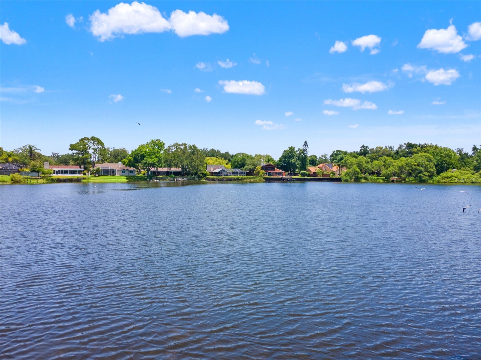 4315 Round Lake Court Tampa FL 33618 TB8514579 image33