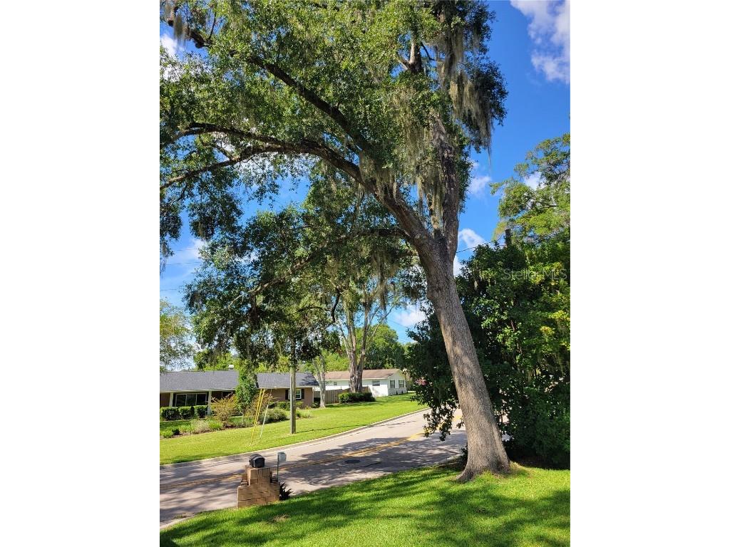 4315 SE 10th Place Ocala FL 34471 OM708650 image10