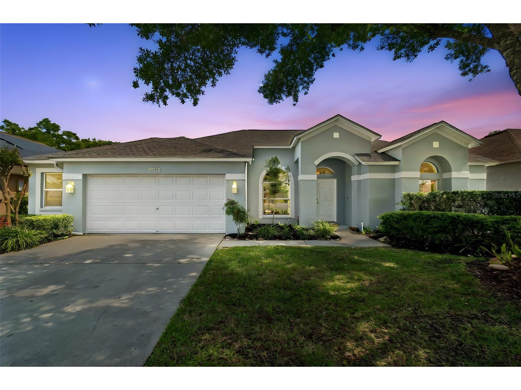 4315 Whittner Drive Land O Lakes FL 34639 TB8486398 image1