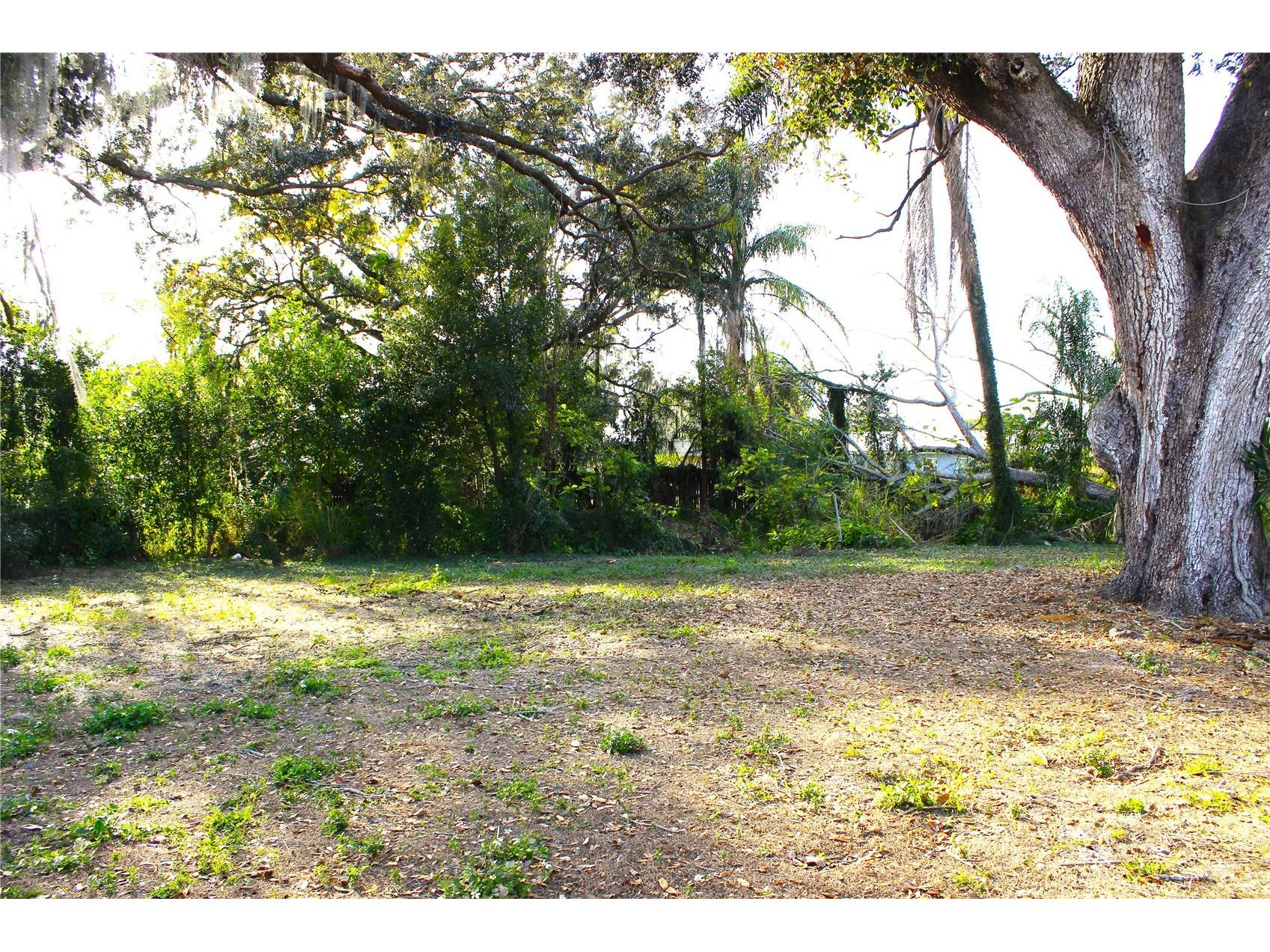 4316 Berkley Drive Tampa FL 33610 TB8464857 image11