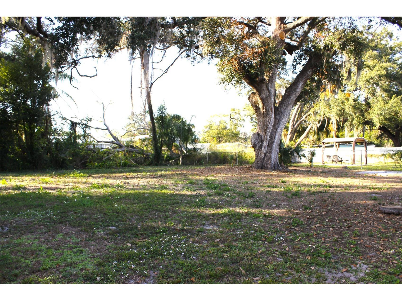 4316 Berkley Drive Tampa FL 33610 TB8464857 image12