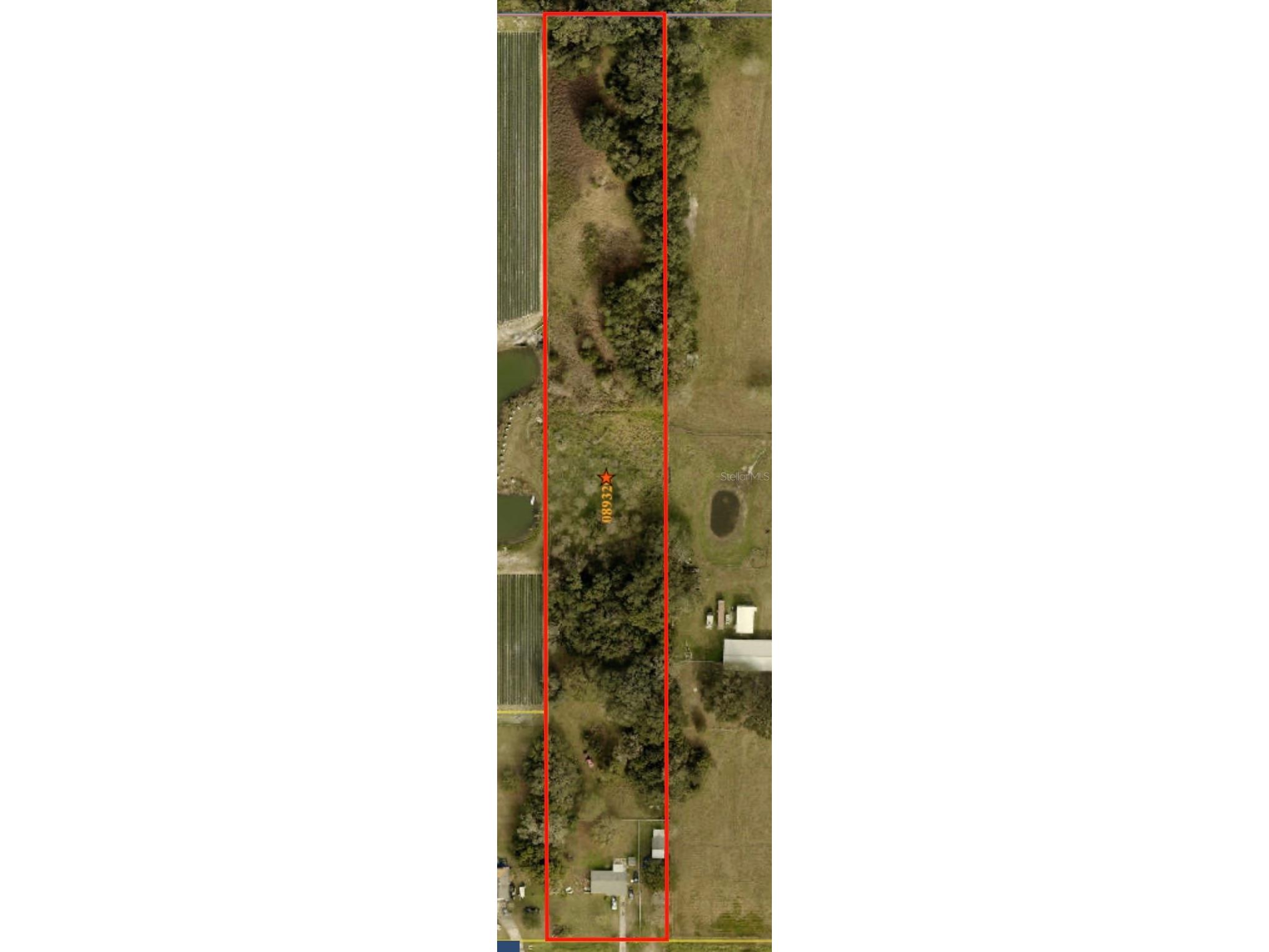 4316 E Knights Griffin Road Plant City FL 33565 TB8389453 image5
