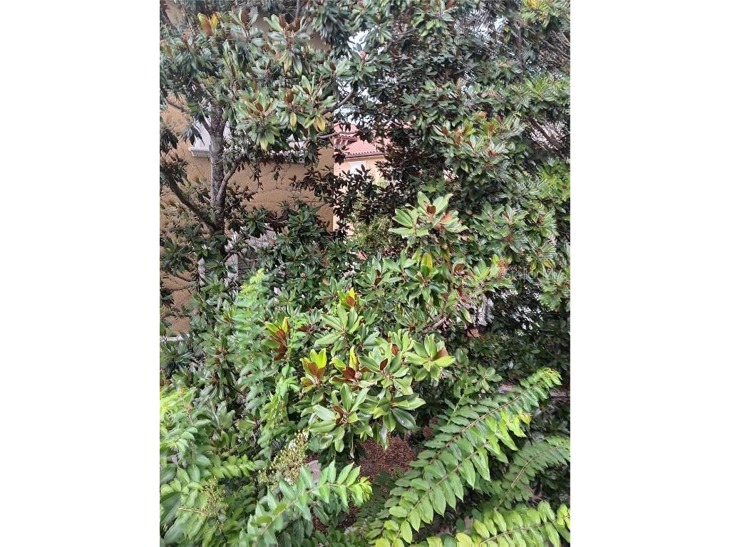 4316 Messina Drive Lake Mary FL 32746 O6344140 image23