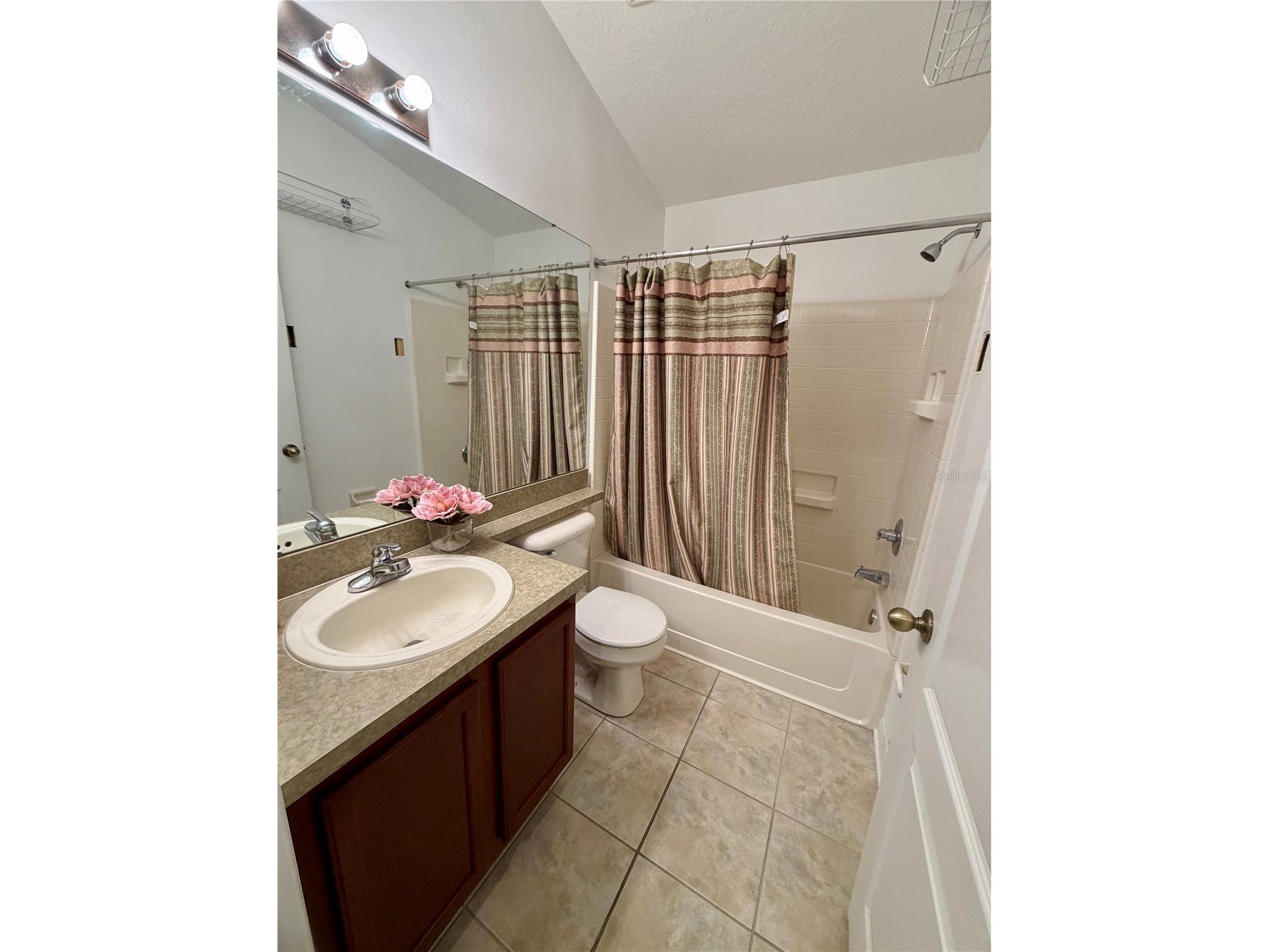 4316 Old Waverly Court Wesley Chapel FL 33543 TB8486631 image37