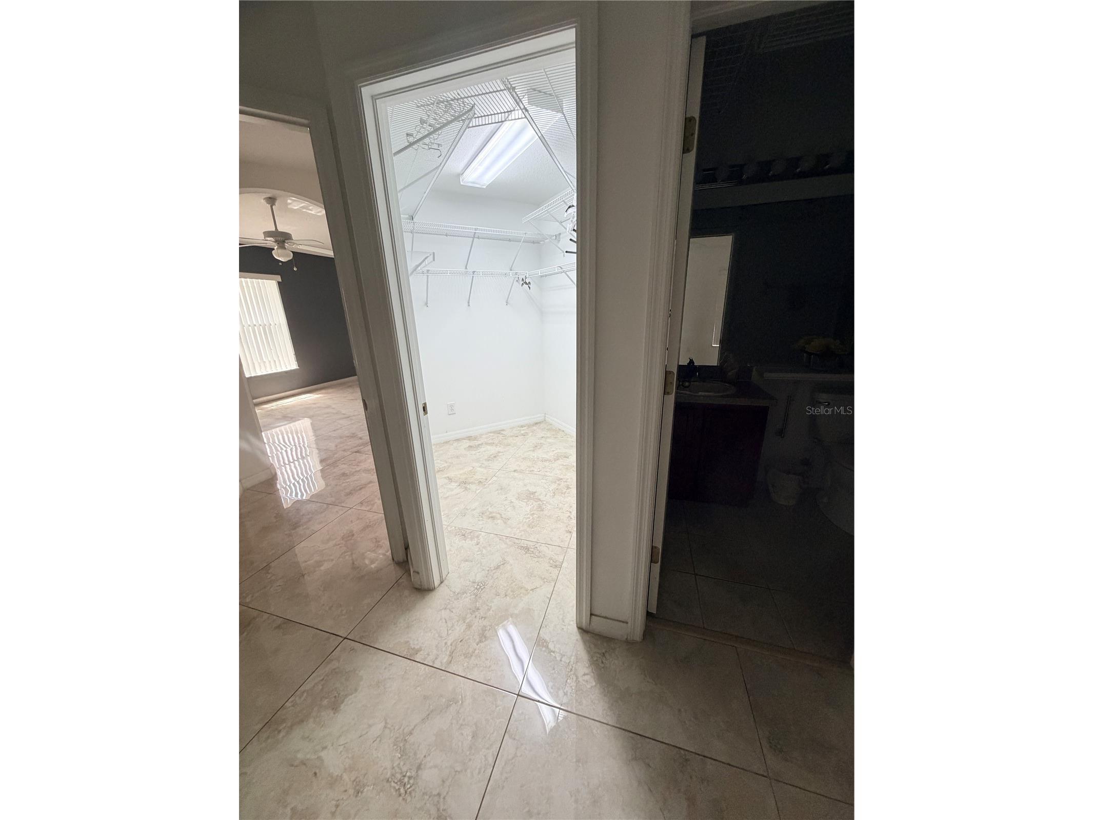 4316 Old Waverly Court Wesley Chapel FL 33543 TB8486631 image43