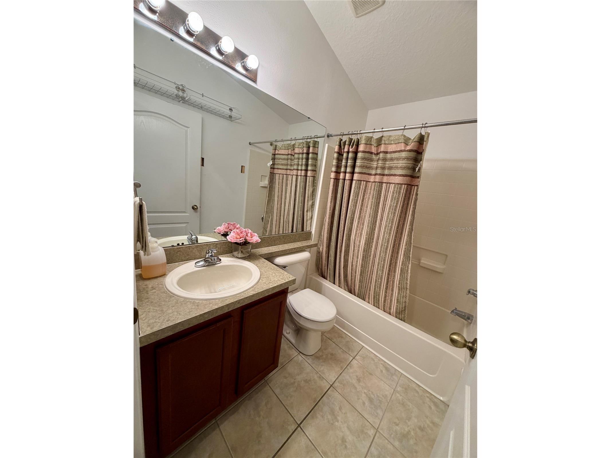 4316 Old Waverly Court Wesley Chapel FL 33543 TB8486631 image61